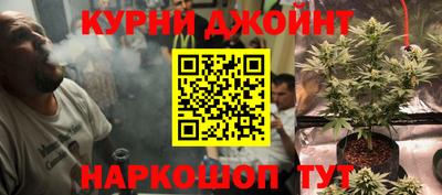 МДПВ Кингисепп