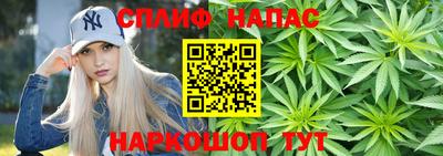 МДПВ Кингисепп
