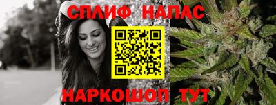 МДПВ Кингисепп