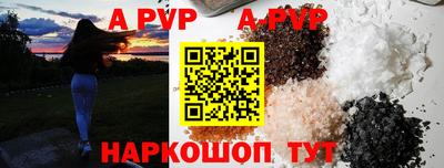 МДПВ Кингисепп